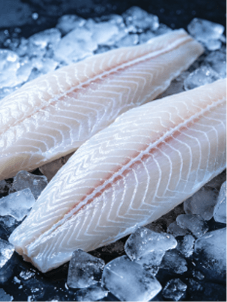 Tilapia